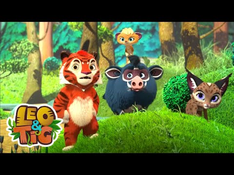 Leo & Tig - Inspiração Perdida e mais episódios completos | Desenhos infantil 🐯🦁