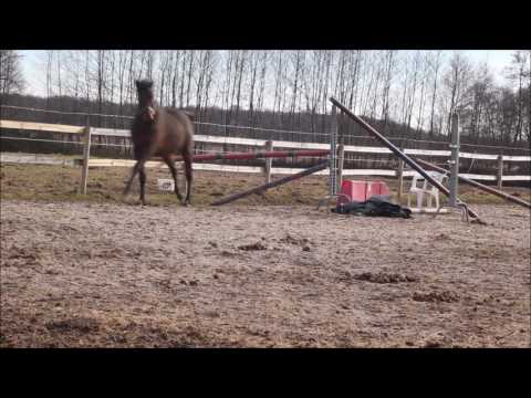 LAND OF MEN - Etalon