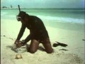 Classic Sesame Street Scuba Diver Counting Shells