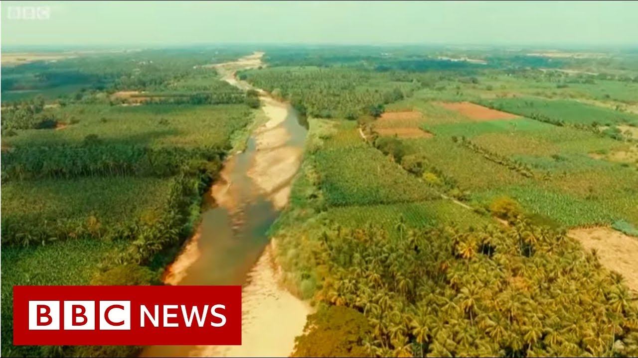 River Stories: Cauvery river - BBC News