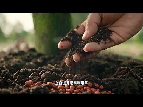 RABBIT KING Product Video
