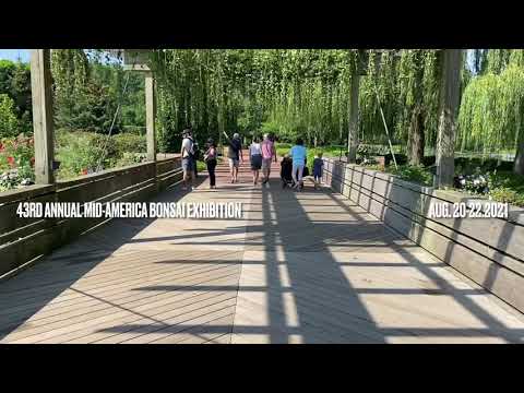 43rd Annual Mid-America Bonsai Exhibition | The Chicago Botanic Garden