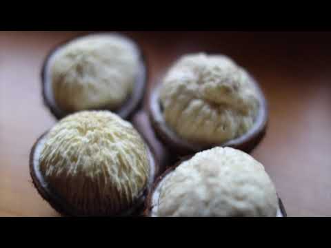 Miami Fruit and the Woodstock Fruit Festival - match made in heaven!