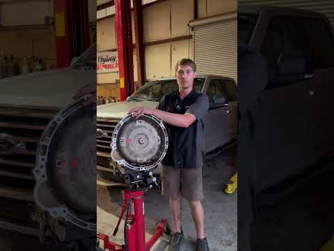 10 Speed Shudder Island !!