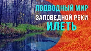 Рыбалка на озёрах марий эл
