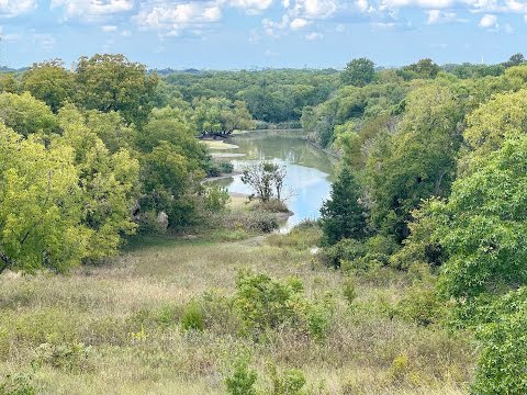 Heard Wetland Live: Watch Birds, Turtles, Deer & Changing Seasons in McKinney, TX