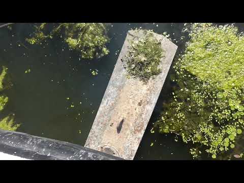 Barge Live aboard renovated in the 70' as a liveaboard - Boatshed - Boat Ref#275153