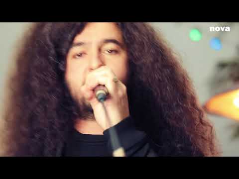 CHATON - Pas de doute | Live Plus Près De Toi