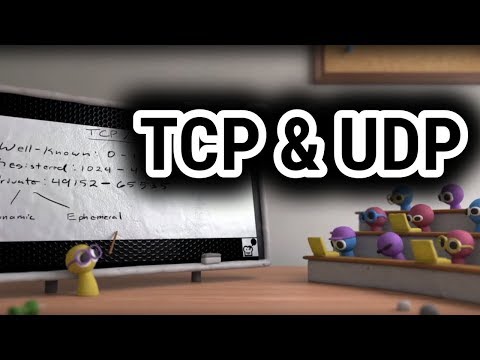 TCP/UDP Fundamentals