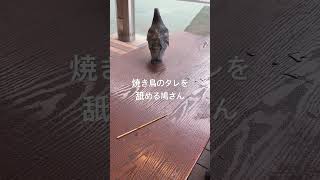 鳩さん焼き鳥のタレを舐める