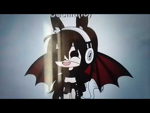 paperella gay-parodia||2||