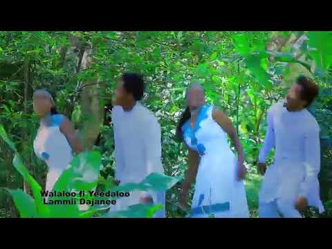 Lammii Dajanee New Oromo Music 2018