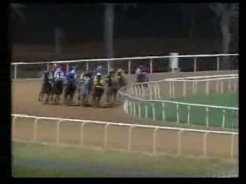 Dubai - Al Maktoum Challenge - round 3 (gr.II) - 2009 - 1 - Asiatic Boy   2 - Happy Boy