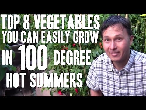 , title : 'Top 8 Vegetables You Can Easily Grow in 100+ Degree Hot Summers'
