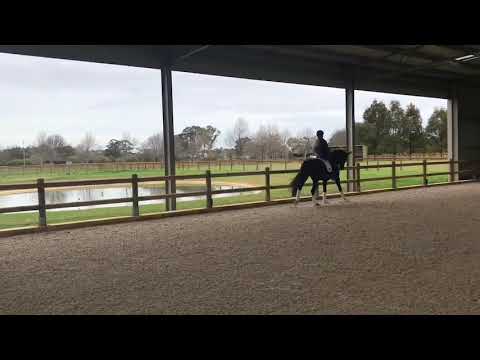 Penny Hill Park Sophia ( Sir Donnerhall/Weltruhm) and Emma Hayward