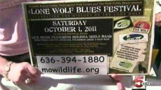 The Lone Wolf Blues Fest - Saturday 10/1/11 - in Ballwin, Mo