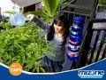 Tugas TIK Iklan Mizone Mau Ngapain Lagi Hari Ini