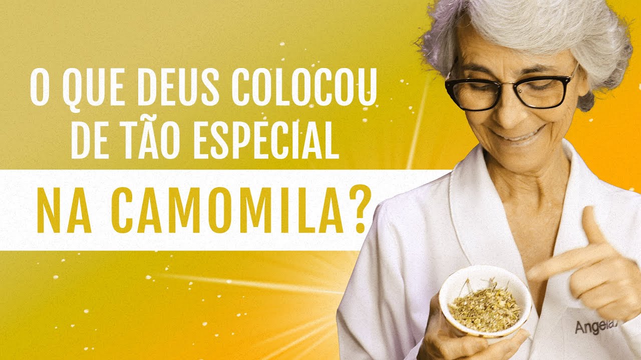 Camomila: será que ela é só calmante? E quanto a pressão arterial e o emagrecimento?