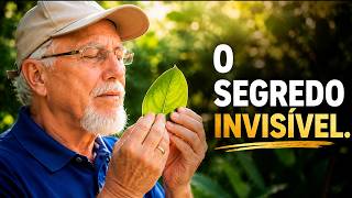 VOCÊ PAROU DE SENTIR E NEM PERCEBEU