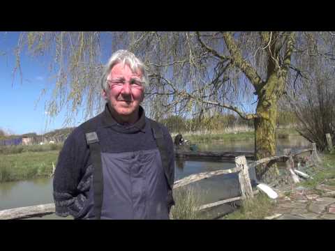 BEEDING MANOR FARM FISHERY, UPPER BEEDING, WEST SUSSEX