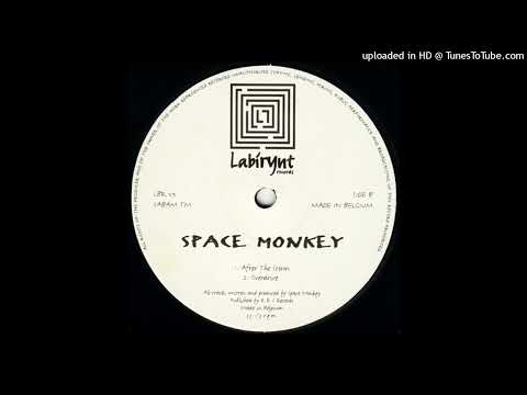 Space Monkey - After The Storm