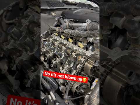 Mustang 5.0 Coyote Oil Pump Gear Crank Sprocket Install OPG/CS #mustang #coyote #drift #shorts