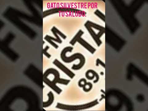 gracias Gustavo gato silvestre por tu saludos a la radio en estos 32 años