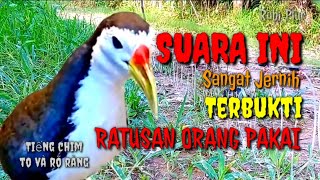 Download lagu π΄ Suara ruak ruak pikat terbukti sangat ampuh ratusan pakai suara ini pikat mp3 #suarapikatrobiplur mp3 Download lagu π΄ Suara ruak ruak pikat terbukti sangat ampuh ratusan pakai suara ini pikat mp3 #suarapikatrobiplur mp3