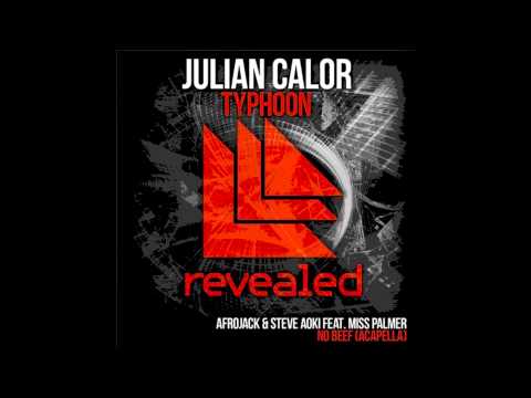 Julian Calor Vs. Miss Palmer - No Typhoon Beef (Dj Dezzy Mashup) HD/HQ