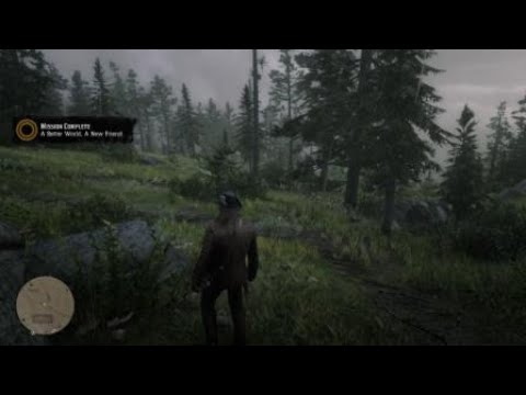 Red Dead Redemption 2 Hunting Request Mission Ending cutscene