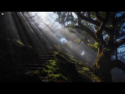 Nevaeh - Safari w/ Rayless