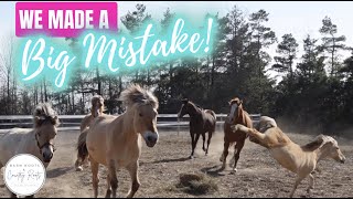WE MADE A BIG MISTAKE! INTRODUCING NEW HORSES GONE WRONG | VLOG