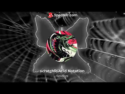 scratchR/Acid Notation - Spiders