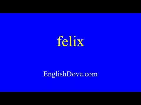 How to pronounce felix in American English