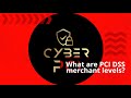 WHAT ARE PCI DSS MERCHANT LEVELS?
