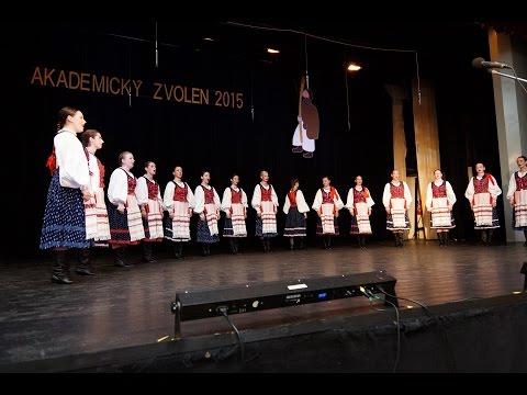Akademický Zvolen 2015 - FS Ekonóm