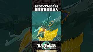 手作りのゾナウ･ドラゴンを破壊する白龍さん【ゼルダの伝説 ティアキン】