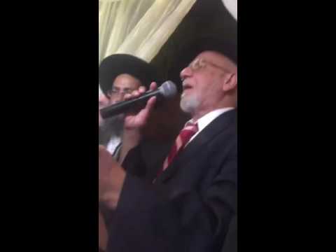 ketouba rabbi haim louk