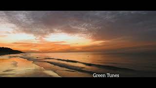 Download lagu Adi penne| Mullum malarum | Tamil | Evergreen | Melody | Ilayaraja | 80 s| Green Tunes | GT mp3