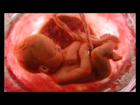 9 HORAS SOM DO ÚTERO ORIGINAL PARA ACALMAR BEBÊS