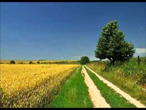 Patria feat. Marinko Blažinkov - Sred ravnice