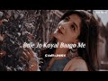 Bole Jo Koyal Bago Mein Slowed Reverb Chudi Jo Khanke Lofi Song Songs Addicted
