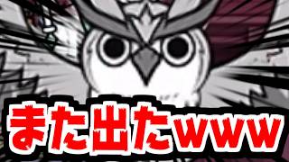 【にゃんこ大戦争】8月異次元コロシアム！で…出たー！！！積年の恨みを晴らしにオウルハズク再び登場！ｗｗｗ【本垢実況Re#2473】