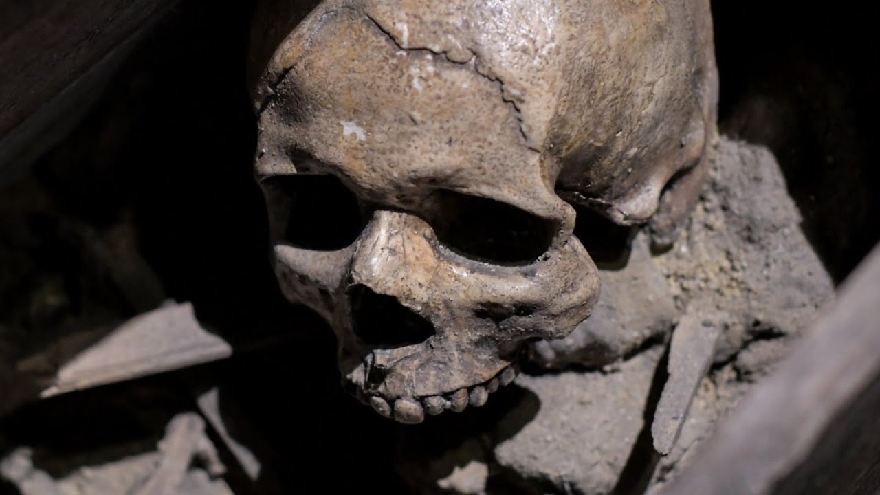 What happens to a body in a coffin after 10 years? Life Set Go