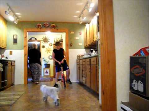 100th Video Special!!!