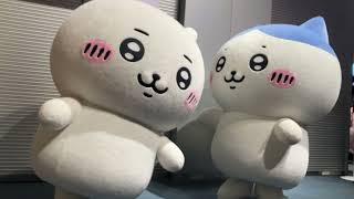 お台場ファンライジング　ちいかわ　おばけの森　グリーティング