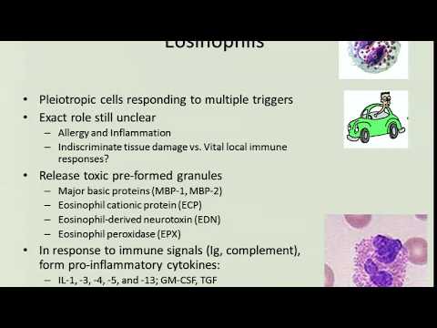 10/22/13 Eosinophilic Gastrointestinal Disorders