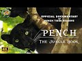 Pench The Land Of The Jungle Book Official Documentary 4K