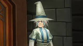 A 22-year-old man plays Wizard101