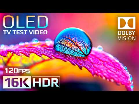 Amazing 16K HDR 120 FPS | Dolby Vision OLED Demo (8K/4K TV Video)